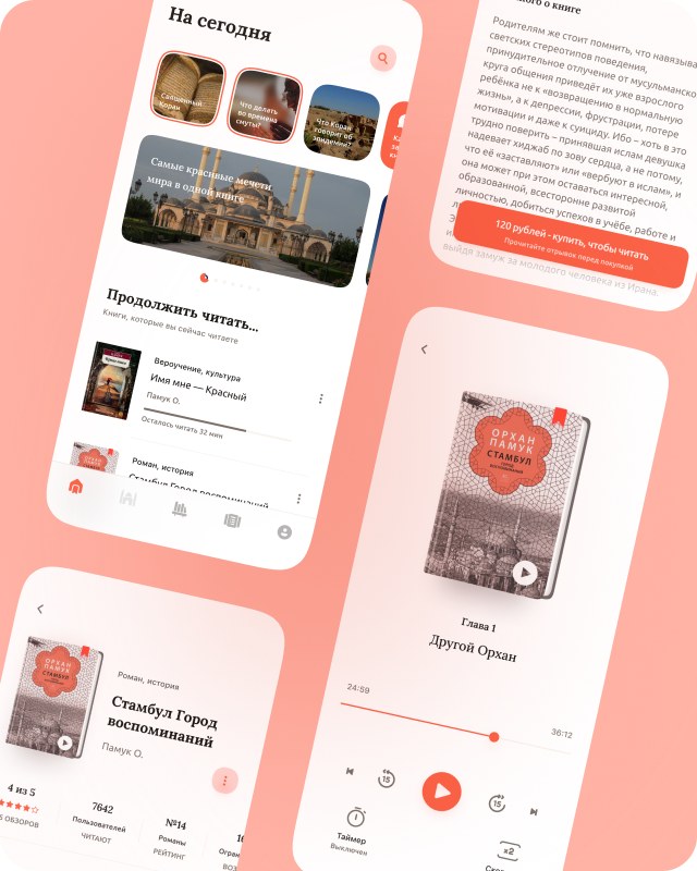 Кейс BookSunna